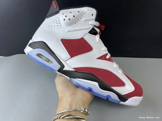 6 'CARMINE' 2014 384664-160 JORDAN RETRO AIR 0628